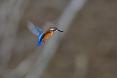 ホバ三昧 2018_10