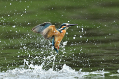 スプラッシュ A-9