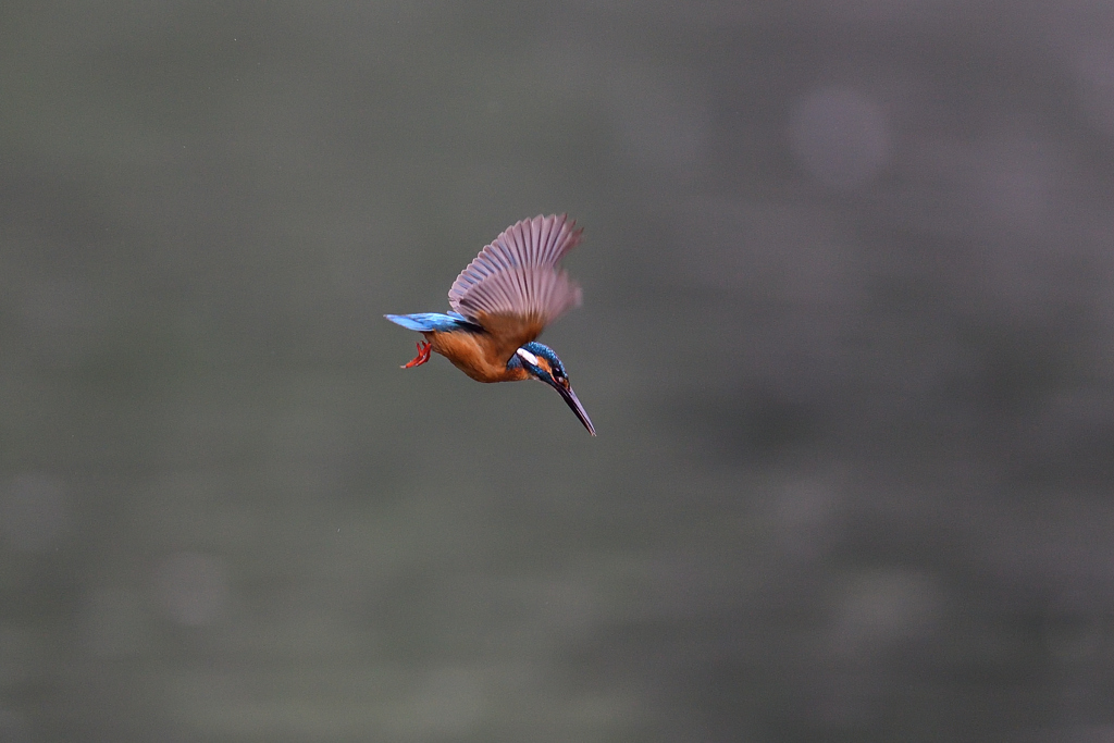 ロックオン 2021_7