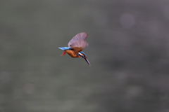 ロックオン 2021_7