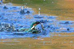 飛び出すタイミングをはかる