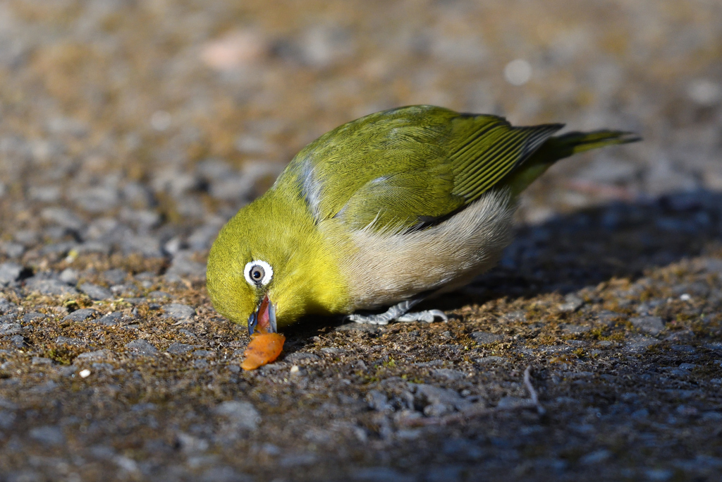 食べずらいなー