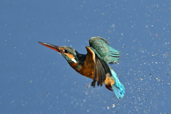 上昇