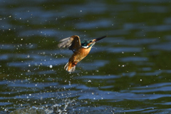 スプラッシュ 2021_40