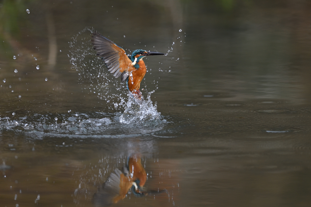 リフレクション