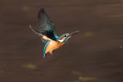 上昇