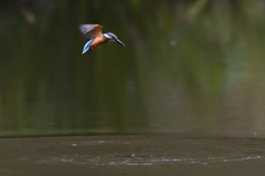 飛び出し即ホバ 3