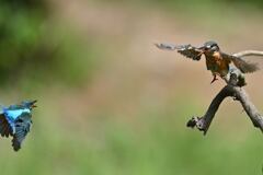 逢いたかった 2