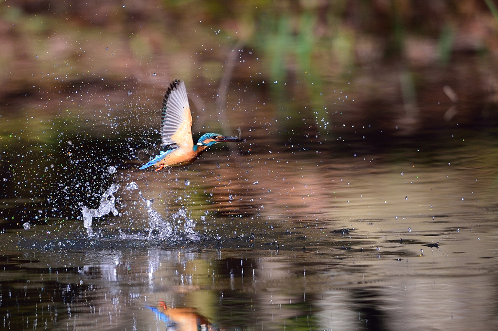 スプラッシュ 27