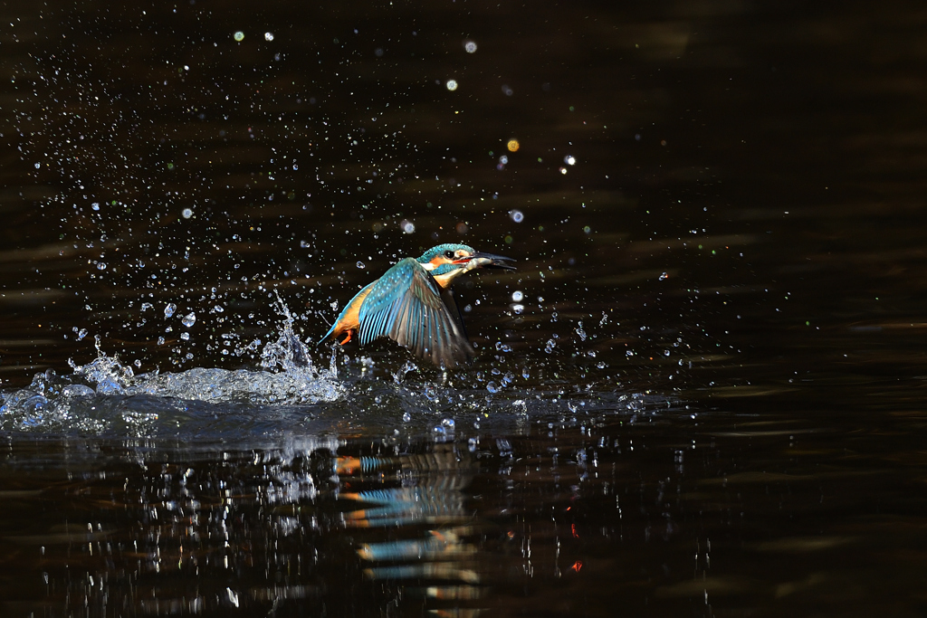 お魚ゲット 2021_107