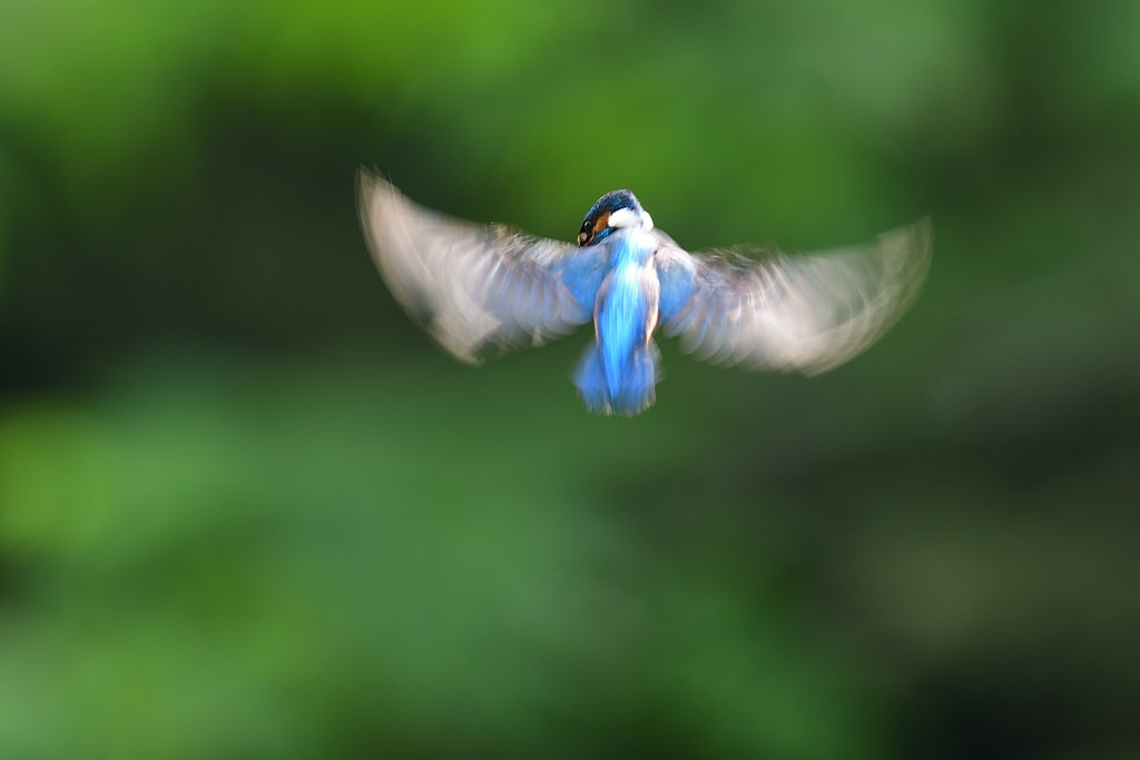 ホバ三昧 2020_2(低速版）