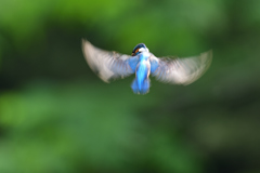 ホバ三昧 2020_2(低速版）