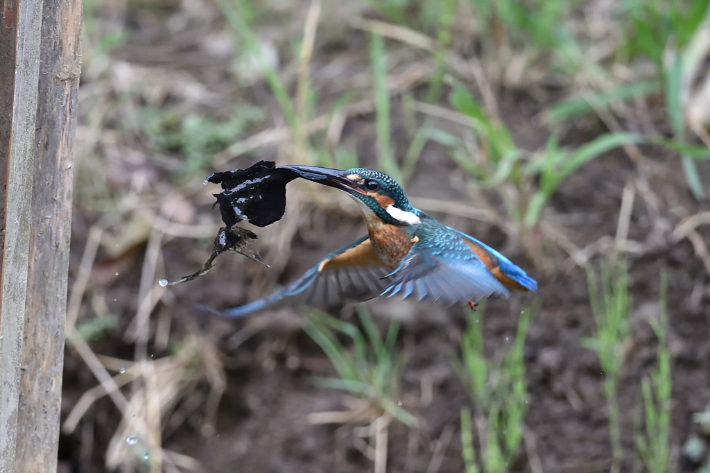 なにか違うような