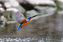 ライジング 2020_15