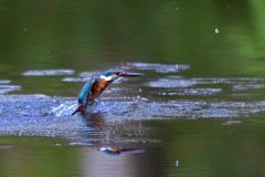 静かな飛び出し