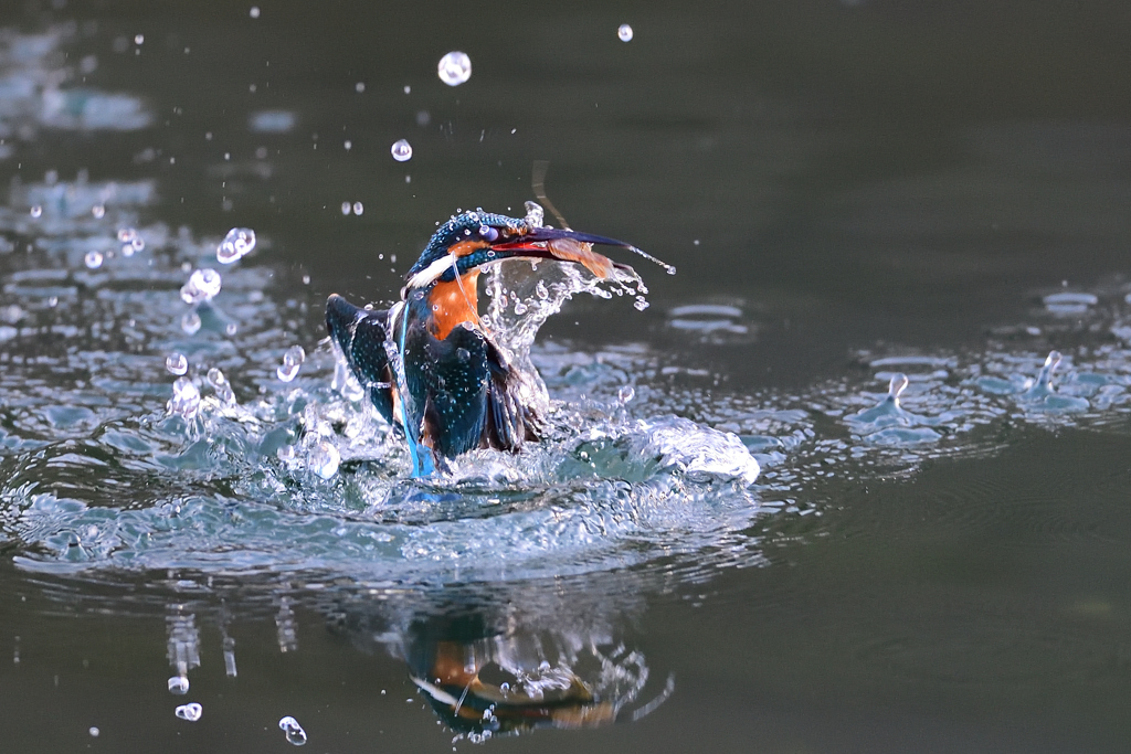 えびゲット 2021_32