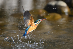 空振り 2 空振り 2