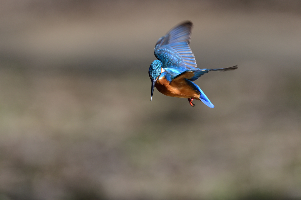 ロックオン 2020_4