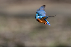 ロックオン 2020_4