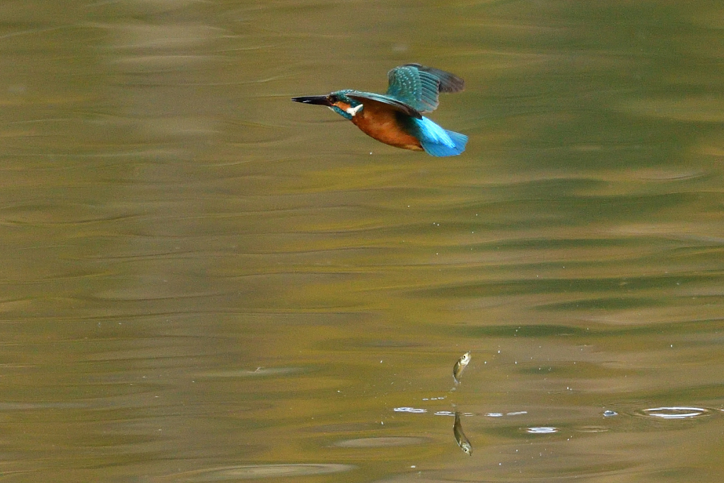 上手の手から水が漏れる