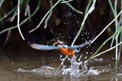 ハートのしずく