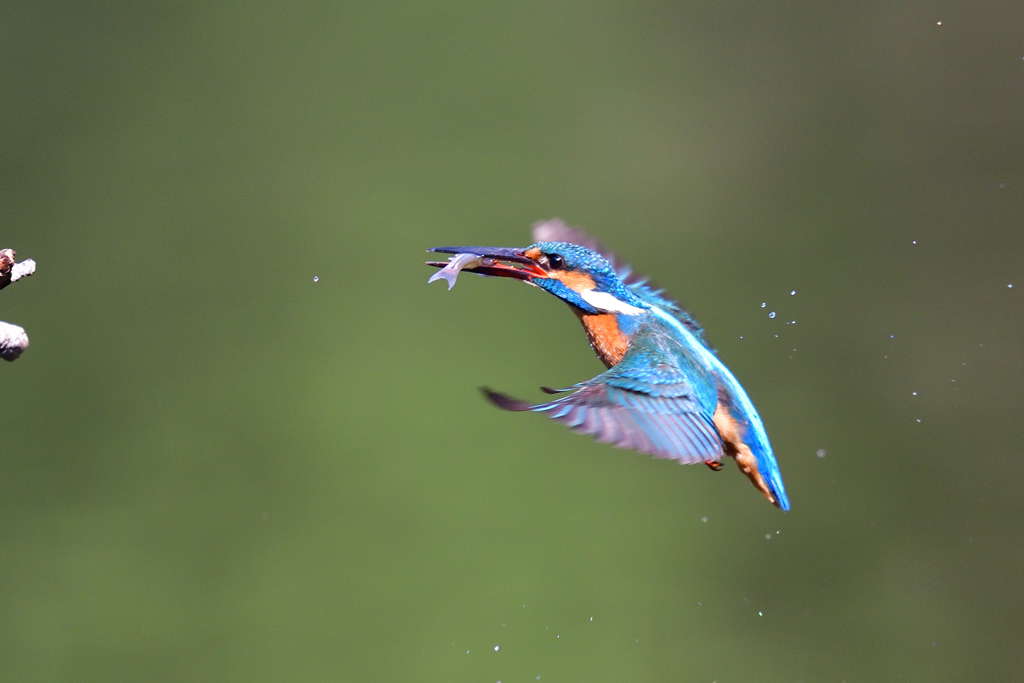 ダイブ戻り 2018_7