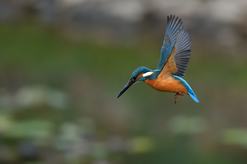 ロックオン 2020_22