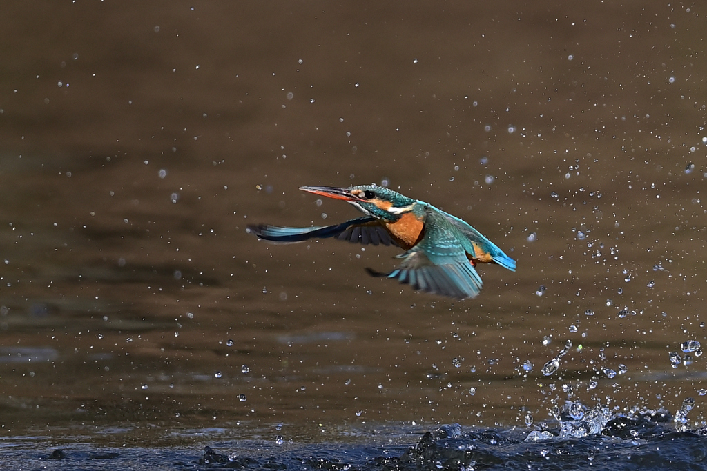 スプラッシュ A-6