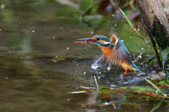 体勢を整え飛び出す