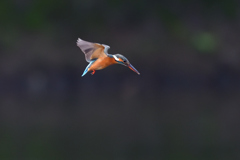 my favorite hoverings 5