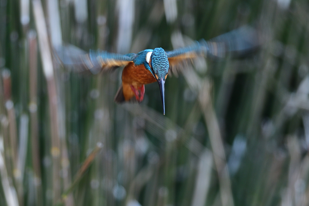 重力にあらがう
