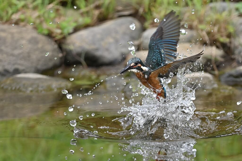 小えびゲット 2