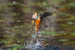 長いネックレス