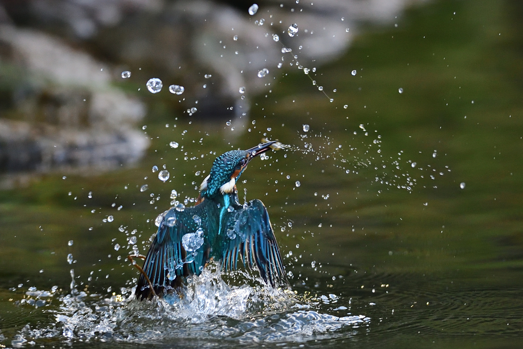 小えびゲット 15