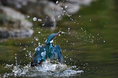 小えびゲット 15