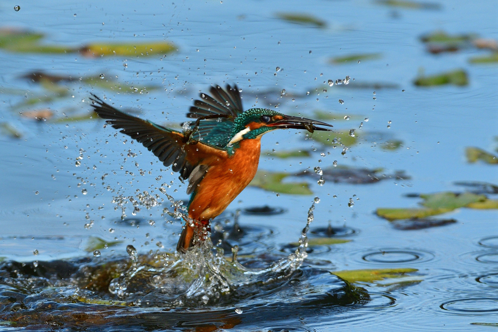 リフレクション－青空