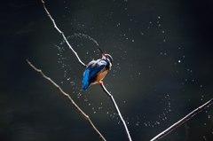 らせん状のしずく