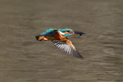 ダイブ戻り 2019_6