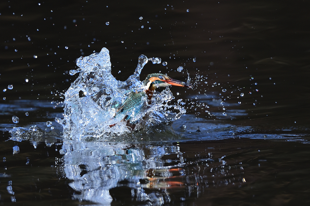 スプラッシュ 2020_2