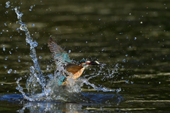 お魚ゲット 2021_58