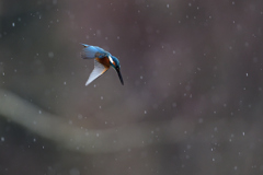 ロックオン 2021_1