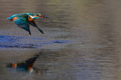 キャッチアイ2 キャッチアイ2