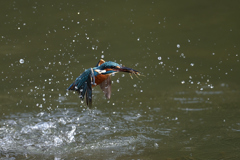 えびゲット 2019_45