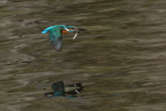 ダイブ戻り 2019_9