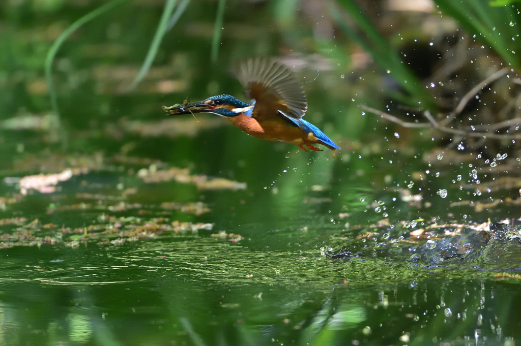 みどりの中で 3