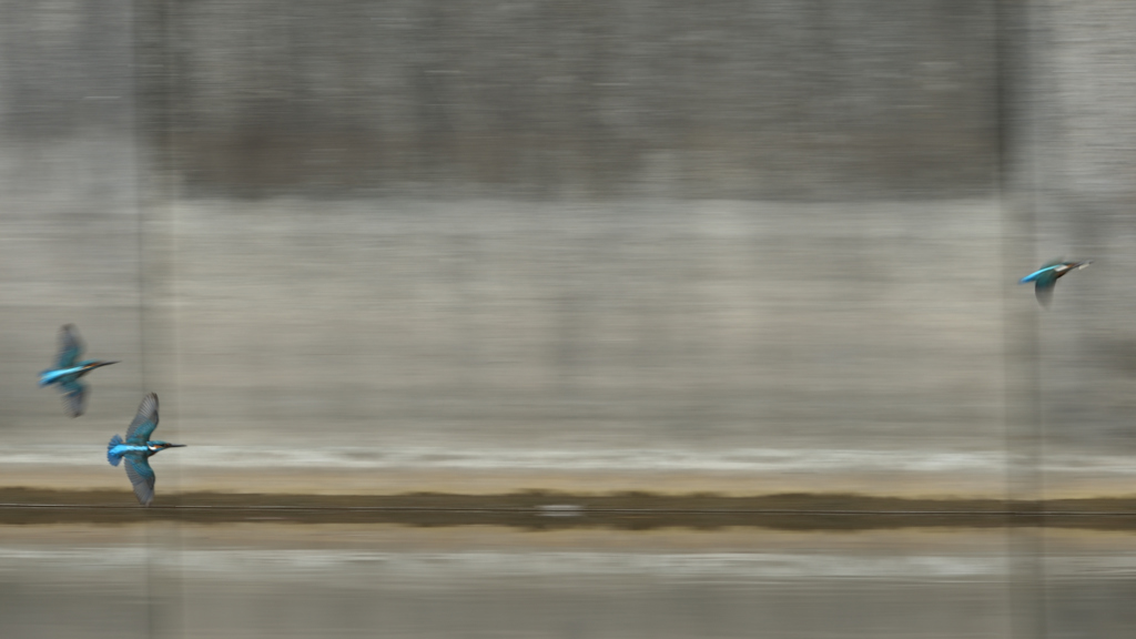 仲好し 3(参考）