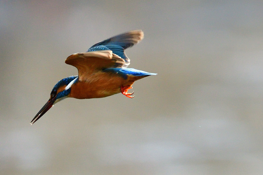 ロックオン 2019_3