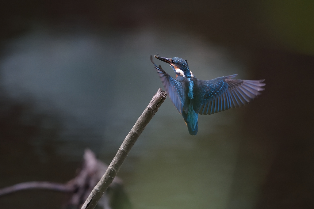 ランディング２＿Ａ