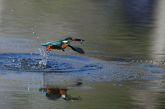 獲ったらゴー3 獲ったらゴー3