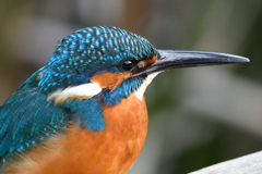 ポートレート 2019_4